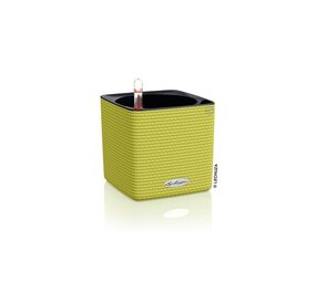 CUBE Color limoengroen