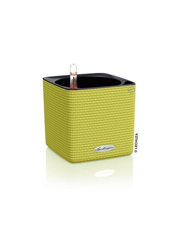 LECHUZA CUBE Color citron vert