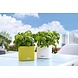 LECHUZA CUBE Color lime green LECHUZA CUBE Color lime green