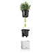 LECHUZA CUBE Color slate LECHUZA CUBE Color slate