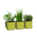 LECHUZA CUBE Color 14 set de 3 + Ciseaux à herbes vert citron LECHUZA CUBE Color 14 set de 3 + Ciseaux à herbes vert citron