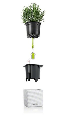 LECHUZA CUBE Color 14 set de 3 + Ciseaux à herbes vert citron