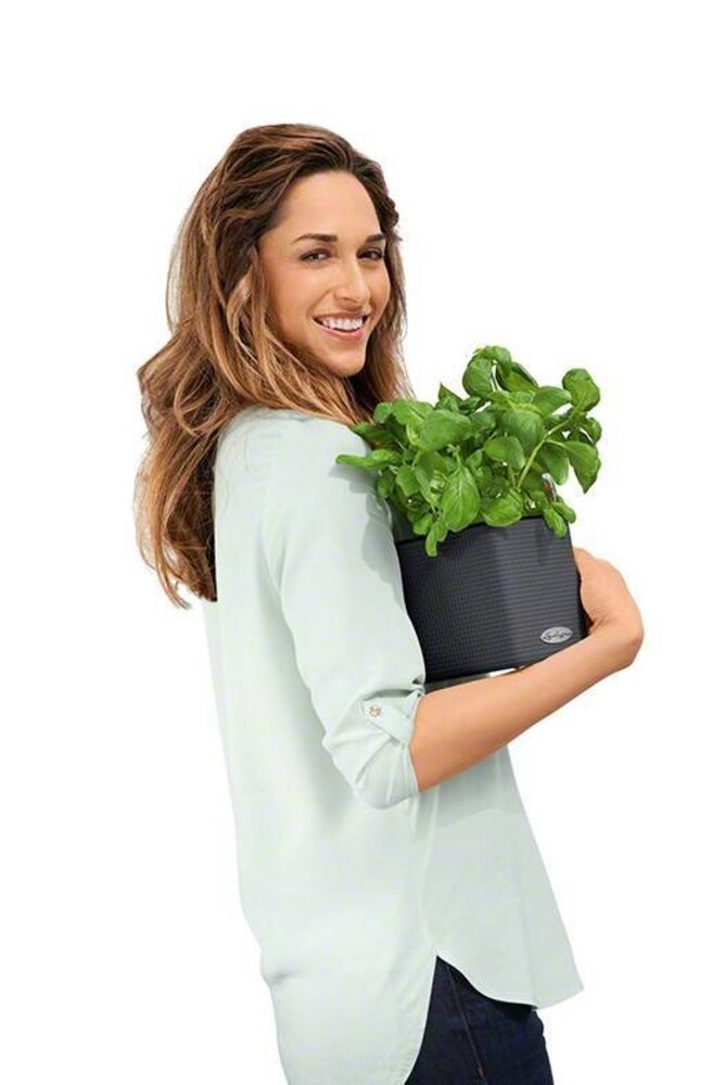 LECHUZA CUBE Color 14 set de 3 + Ciseaux à herbes vert citron