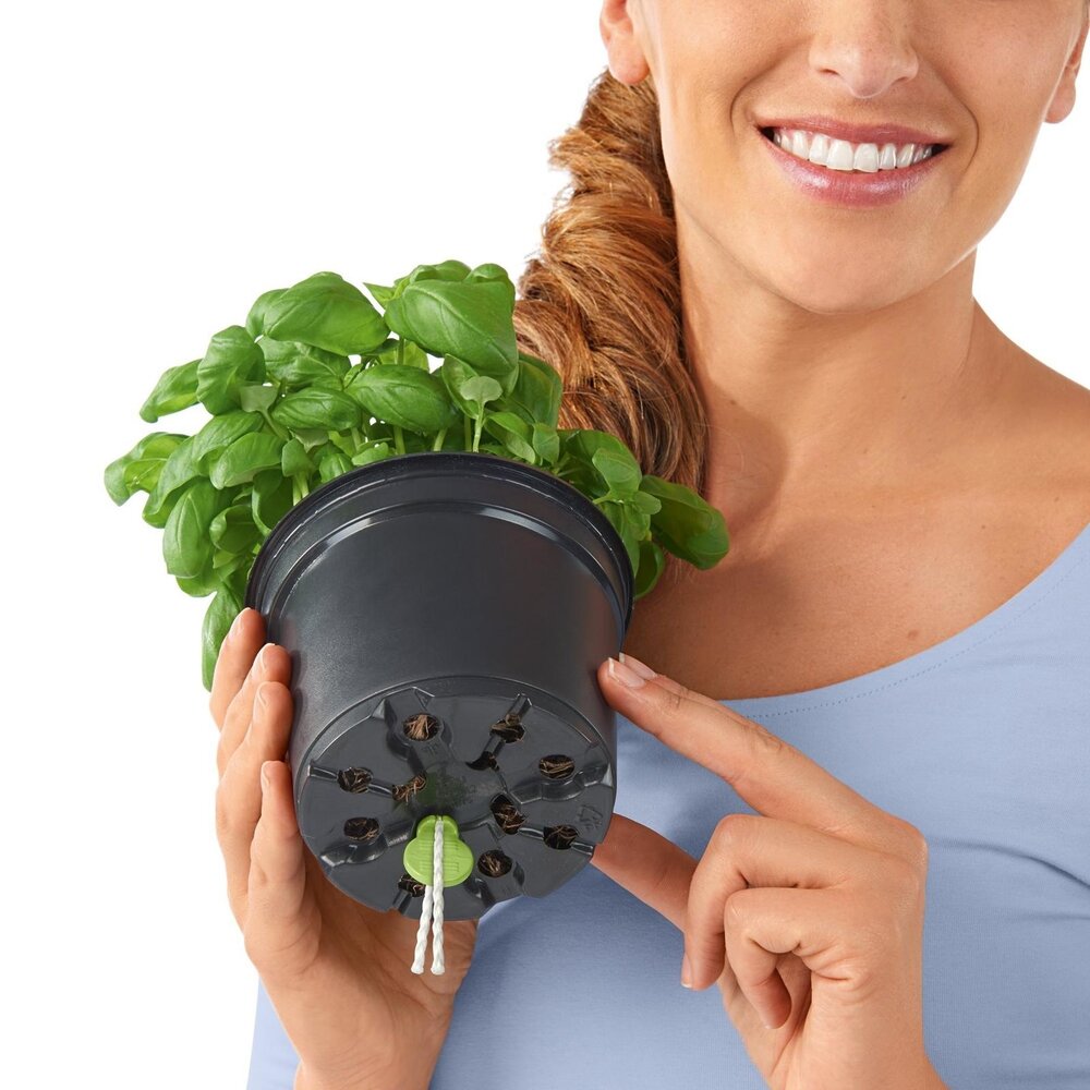 LECHUZA CUBE Color 14 set of 3 + Herb scissors lime green LECHUZA CUBE Color 14 set of 3 + Herb scissors lime green