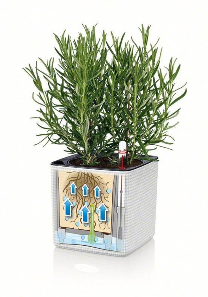 LECHUZA CUBE Color 14 set de 3 + Ciseaux à herbes vert citron