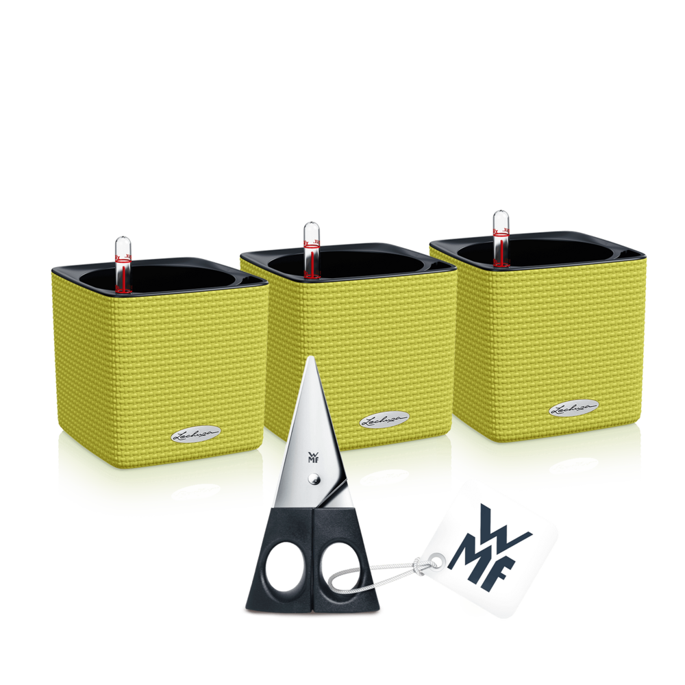 LECHUZA CUBE Color 14 set de 3 + Ciseaux à herbes vert citron