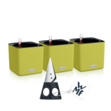 CUBE Color 14 set de 3 + Ciseaux à herbes vert citron