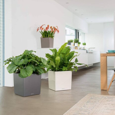 LECHUZA CUBE anthracite métallisé