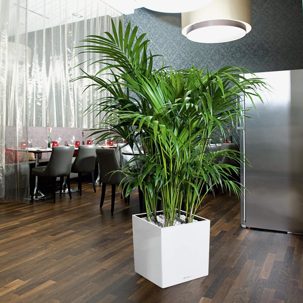 LECHUZA CUBE antraciet metallic