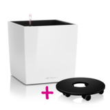 CUBE 40 white high-gloss + Coaster