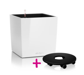 CUBE 40 blanc brillant + Support CUBE 40 blanc brillant + Support