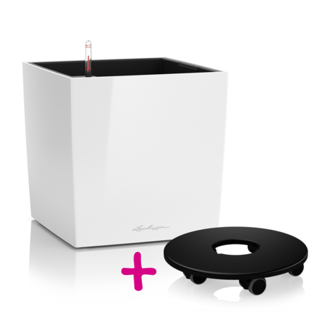 CUBE 40 white high-gloss + Coaster