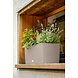 LECHUZA BALCONERA Cottage sand brown LECHUZA BALCONERA Cottage sand brown