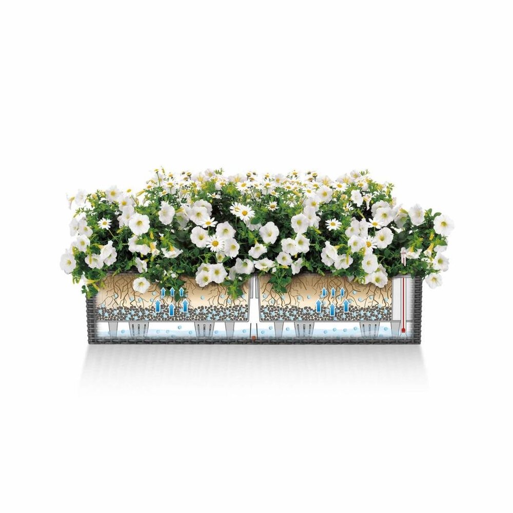 LECHUZA BALCONERA Cottage graphitschwarz