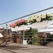 LECHUZA BALCONERA Color white LECHUZA BALCONERA Color white