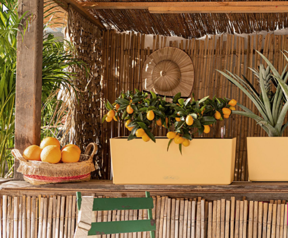 LECHUZA BALCONERA Color pêche