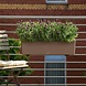 LECHUZA BALCONERA Color muskat LECHUZA BALCONERA Color muskat