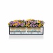 LECHUZA BALCONERA Color 40|50|80|100 gris ardoise- Jardinière - avec bac intérieur amovible - avec système d'irrigation - Ensemble TOUT-EN-UN avec LECHUZA-PON LECHUZA BALCONERA Color 40|50|80|100 gris ardoise- Jardinière - avec bac intérieur amovible - avec système d'irrigation - Ensemble TOUT-EN-UN avec LECHUZA-PON