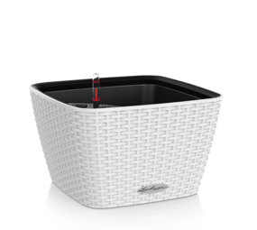 BACINO Cottage blanc BACINO Cottage blanc