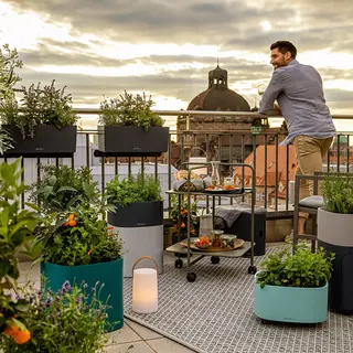 PILA Color Storage | Planter | Stick