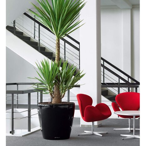 LECHUZA CLASSICO zwart hoogglans