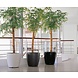 LECHUZA CLASSICO zwart hoogglans LECHUZA CLASSICO zwart hoogglans