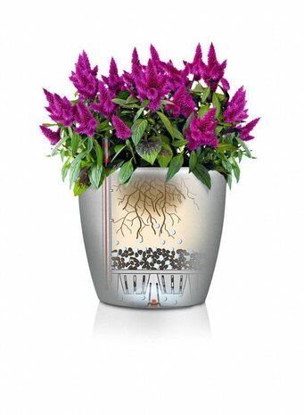 LECHUZA CLASSICO zwart hoogglans