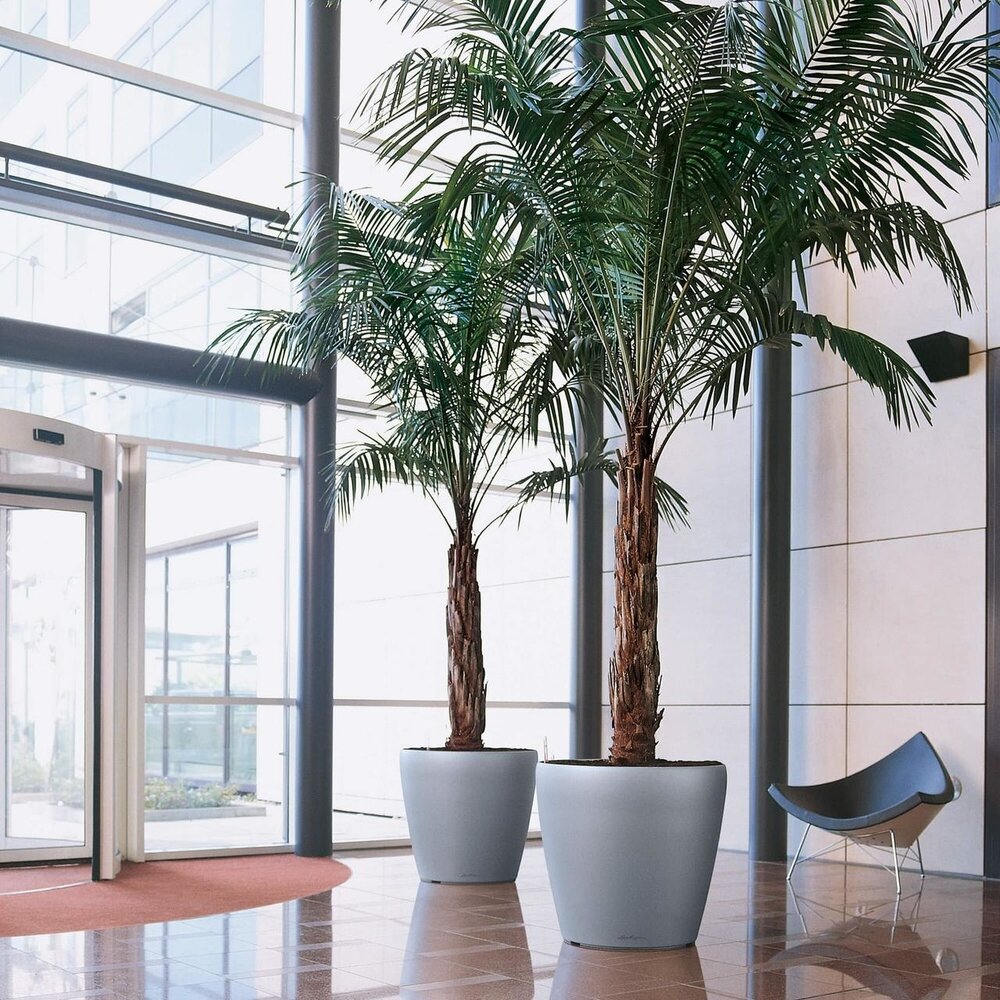 LECHUZA CLASSICO silver metallic LECHUZA CLASSICO silver metallic