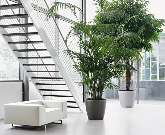 LECHUZA CLASSICO argent métallisé LECHUZA CLASSICO argent métallisé