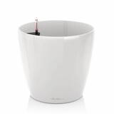 CLASSICO blanc brillant