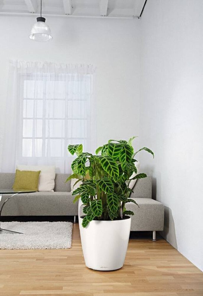 LECHUZA CLASSICO white high-gloss LECHUZA CLASSICO white high-gloss