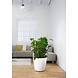 LECHUZA CLASSICO white high-gloss LECHUZA CLASSICO white high-gloss