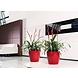 LECHUZA CLASSICO scarlet red high-gloss LECHUZA CLASSICO scarlet red high-gloss