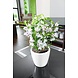 LECHUZA CLASSICO LS white high-gloss LECHUZA CLASSICO LS white high-gloss