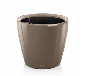 CLASSICO LS shiny taupe CLASSICO LS shiny taupe