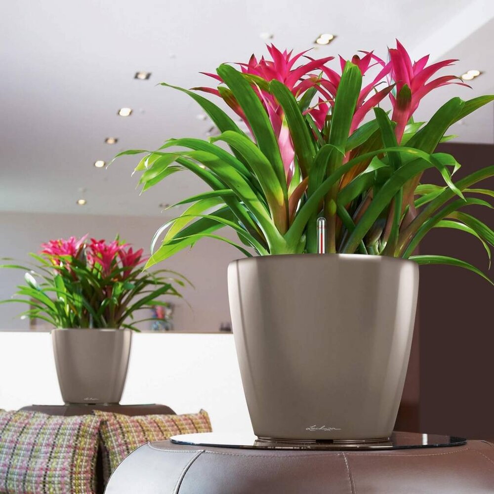 LECHUZA CLASSICO LS taupe hoogglans LECHUZA CLASSICO LS taupe hoogglans