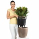 LECHUZA CLASSICO LS shiny taupe LECHUZA CLASSICO LS shiny taupe