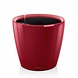 LECHUZA CLASSICO LS scarlet rot hochglanz LECHUZA CLASSICO LS scarlet rot hochglanz