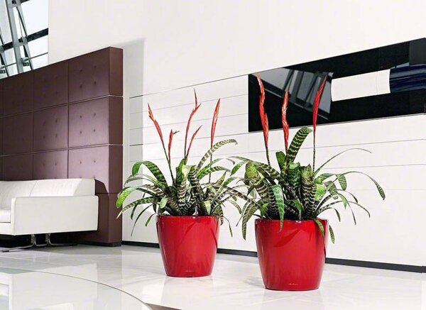 LECHUZA CLASSICO LS scarlet red high-gloss LECHUZA CLASSICO LS scarlet red high-gloss