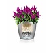 LECHUZA CLASSICO LS charcoal metallic LECHUZA CLASSICO LS charcoal metallic