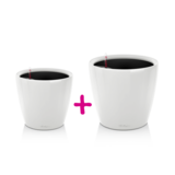 CLASSICO LS 21 blanc brillant + CLASSICO LS 28 blanc brillant*