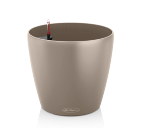 CLASSICO Color brun sable CLASSICO Color brun sable