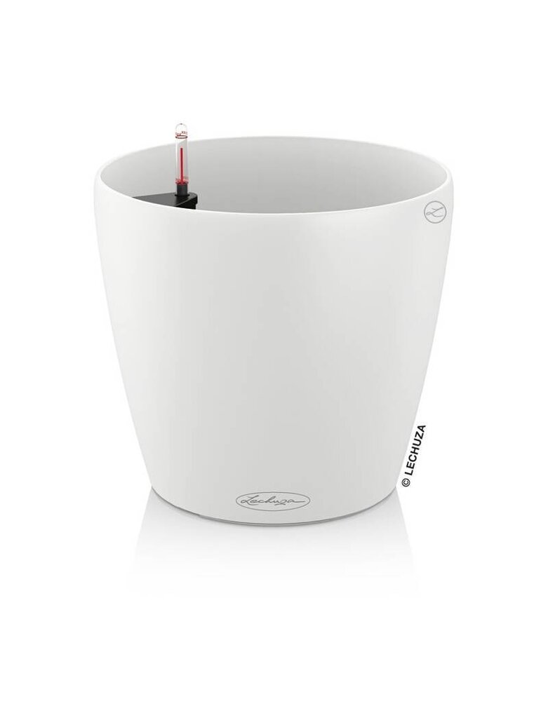 LECHUZA CLASSICO Color white