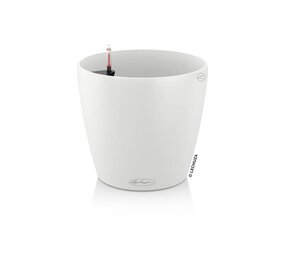 CLASSICO Color blanc