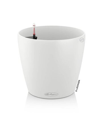 LECHUZA CLASSICO Color white