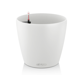 CLASSICO Color white CLASSICO Color white