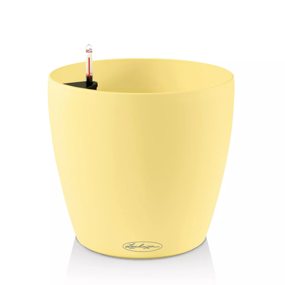 LECHUZA CLASSICO Color vanille