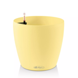 CLASSICO Color vanille CLASSICO Color vanille