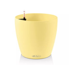 CLASSICO Color vanilla CLASSICO Color vanilla