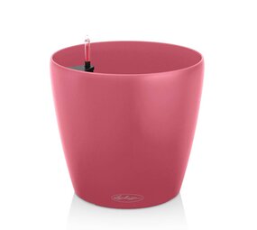 CLASSICO Color Sunset Crush CLASSICO Color Sunset Crush